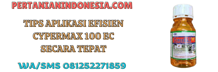 tips,aplikasi,efisien,hama serangga,pertanian indonesia